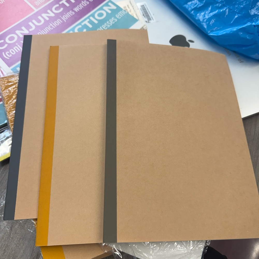 Set of Muji Paper Notebooks with Colored Spines